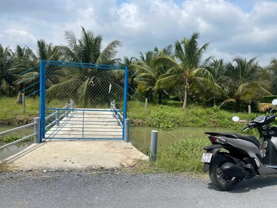 Đất nền Bình Ninh, Chợ Gạo 396m² giá 590 triệu - Mặt tiền view kênh thoáng mát!