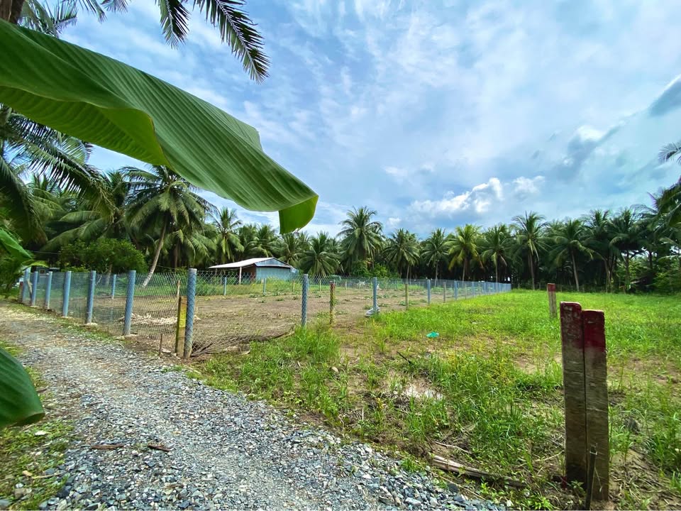 Đất nền 330m² tại Nhơn Hoà, Chợ Gạo - Giá chỉ 280 triệu, sổ đỏ chính chủ!