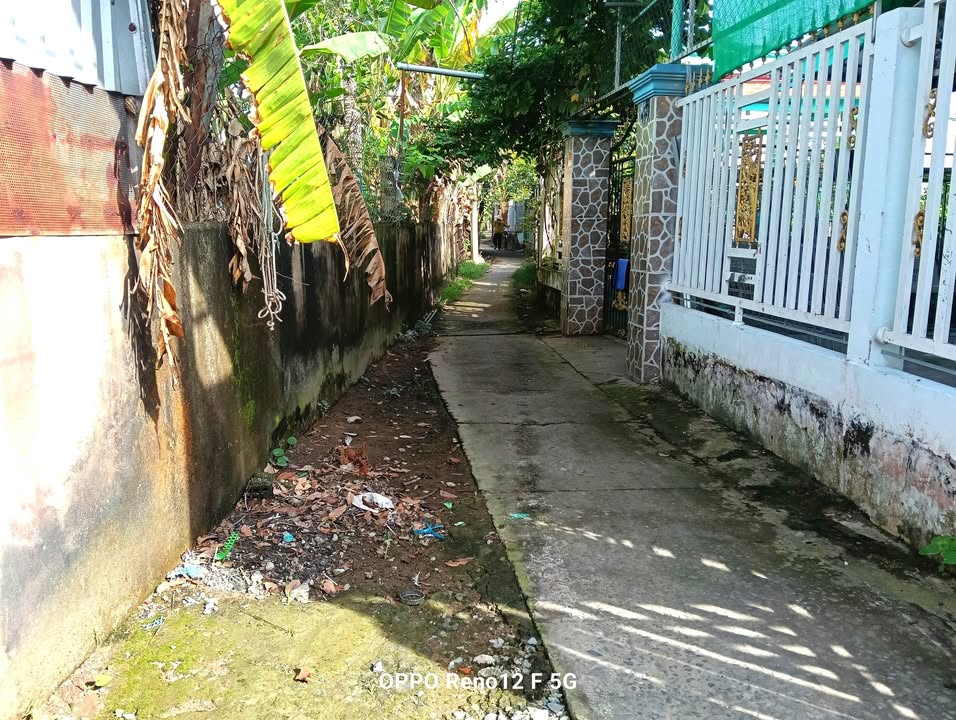 Đất vườn 286m² tại Ấp Điền Lợi, Chợ Gạo, Tiền Giang - Sổ đỏ chính chủ giá chỉ 820 triệu!