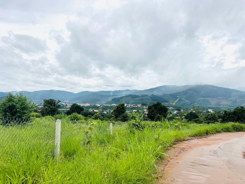 Đất thổ cư 800m² thôn 2 Mê Linh, Lâm Đồng, chỉ 1.75 tỷ - View thung lũng tuyệt đẹp!