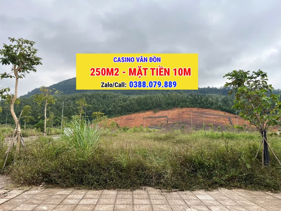 Bán lô đất 250m² khu Casino Vân Đồn - Mặt tiền 10m, giá tốt