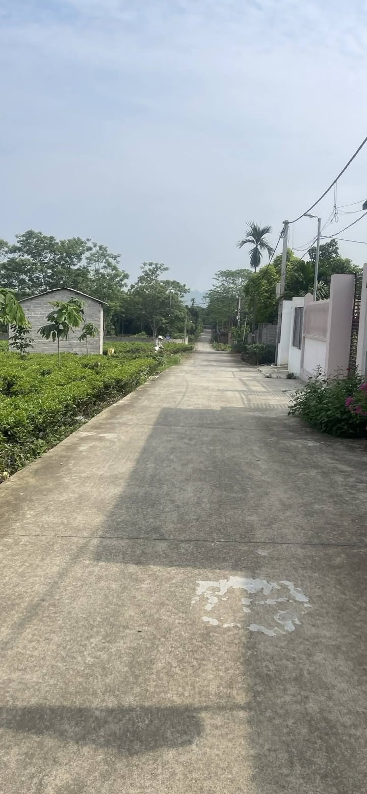 Đất nền thôn Việt Yên, xã Yên Bài 2900m² giá chỉ 6.118 tỷ - Đầu tư sinh lời!