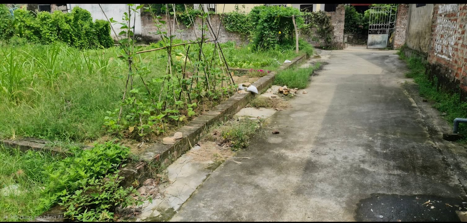 Đất nền Hiền Ninh, Sóc Sơn 45m² giá 1.5 tỷ - Đất vuông vắn, tiện lợi đầu tư!