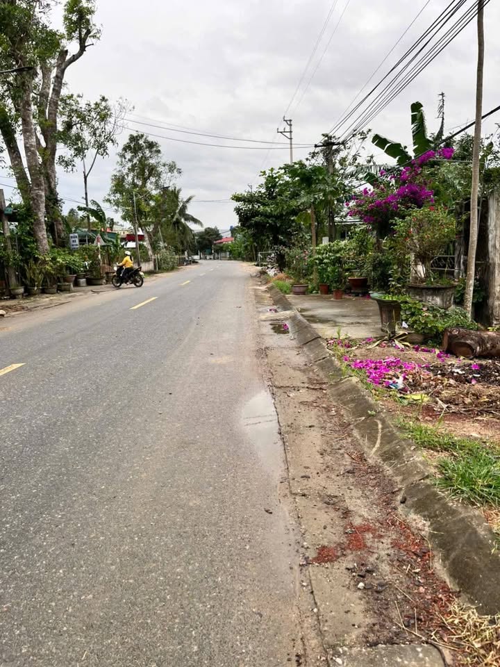 Đất nền quốc lộ 47C, Tân Sơn Trung Chính 296m² chỉ 1.2 tỷ - Cơ hội đầu tư hiếm có!