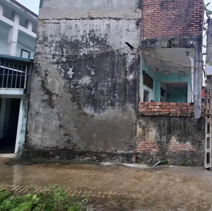 Đất Dương Sơn, Tam Sơn 80m² giá 2 tỷ - Sổ hồng chính chủ, sang tên nhanh chóng!