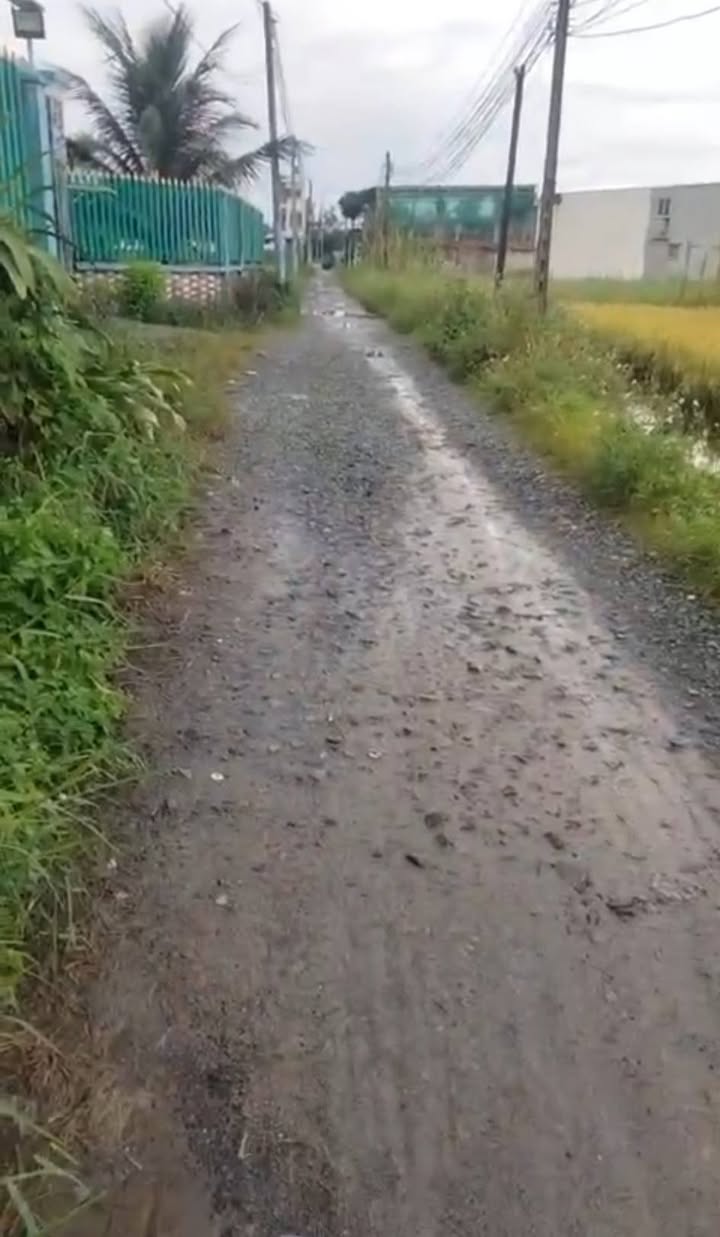 Đất thổ cư Mỹ Hạnh, Đức Hòa, Long An 450m² giá 3 tỷ - Sổ hồng riêng, thương lượng!