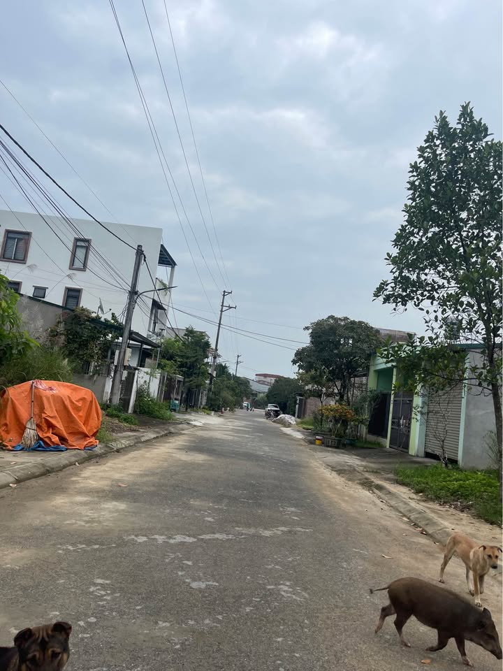 Đất tái định cư Nguyễn Phúc 100m² giá 1.5 tỷ - Sổ đỏ chính chủ, dân cư đông đúc!