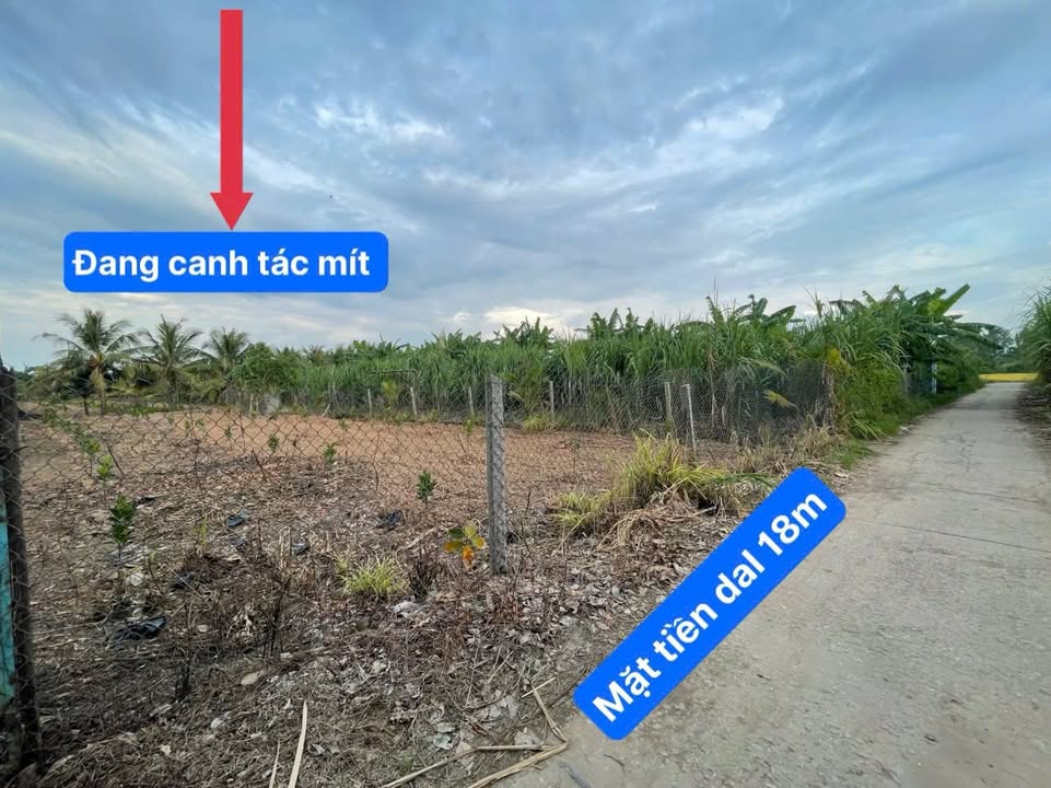 Đất nền Vĩnh Hậu An Phú 2520m² giá 280 triệu - Sổ hồng chính chủ