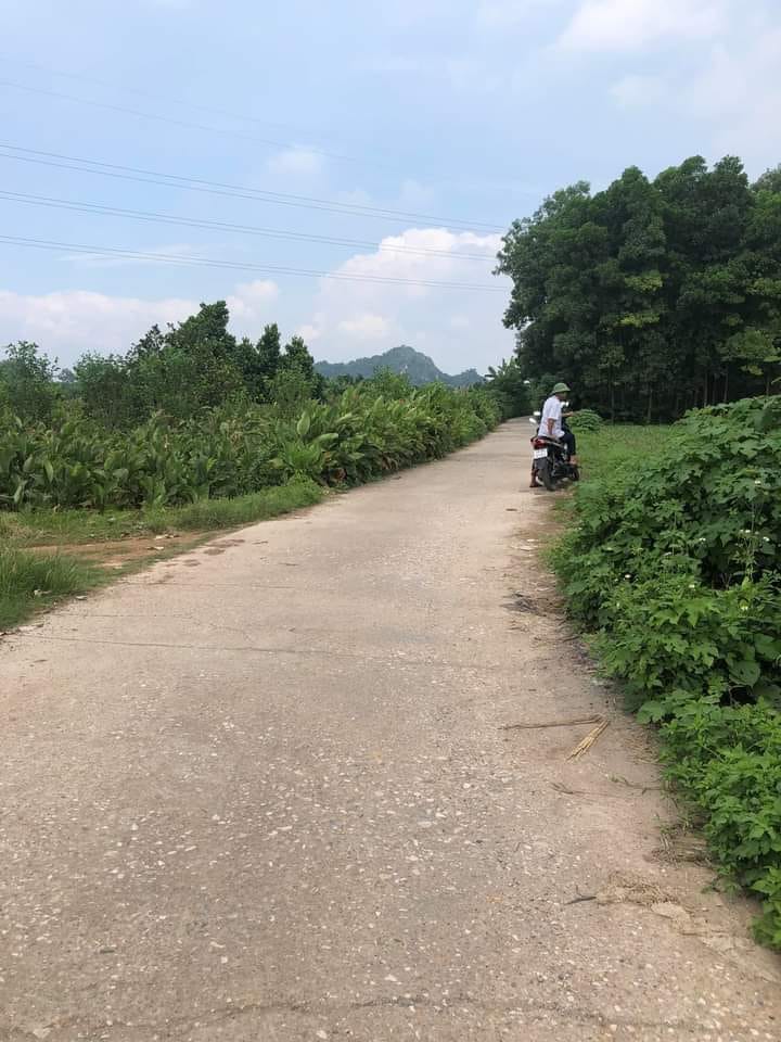 Đất nền 418m² tại Sài Sơn, Quốc Oai - Giá chỉ 650 triệu!