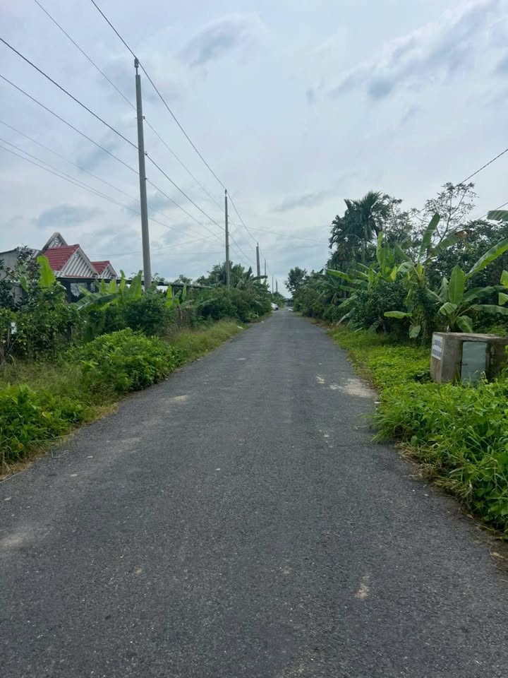 Đất nền mặt tiền cầu Tắc Ông Phò, phường Cái Vồn, 300m² giá 850 triệu - Cơ hội đầu tư tốt!