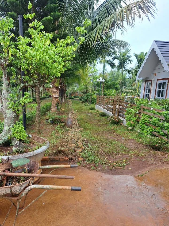 Đất ở Cư Bao Buôn Hồ 2618m² giá 4 tỷ - Lô đất lý tưởng cho nghỉ dưỡng!