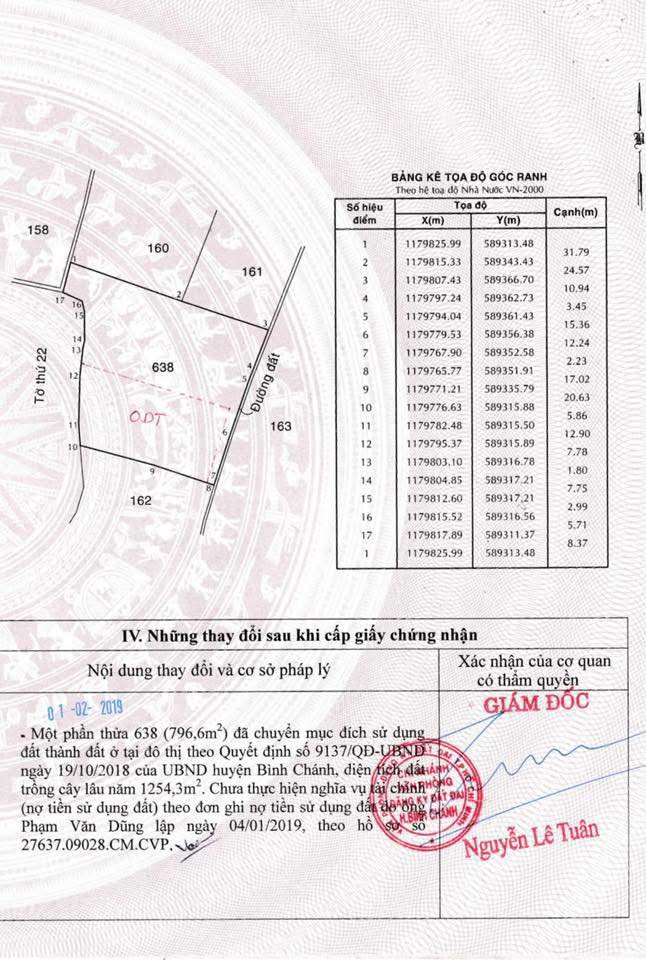 Đất nền 2.000m² Đình Bình Trường, Bình Chánh – Giá chỉ 20 tỷ – Pháp lý rõ ràng!