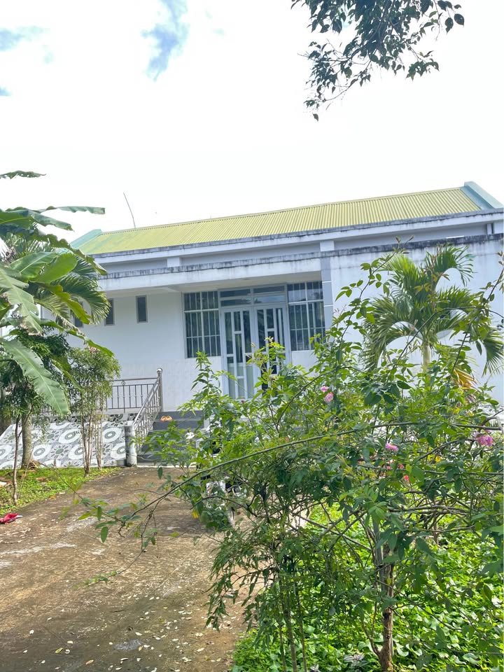 Nhà 2 tầng hẻm Nguyễn Viết Xuân, Dambri 400m² giá chỉ 6 tỷ - Sẵn sàng vào ở!