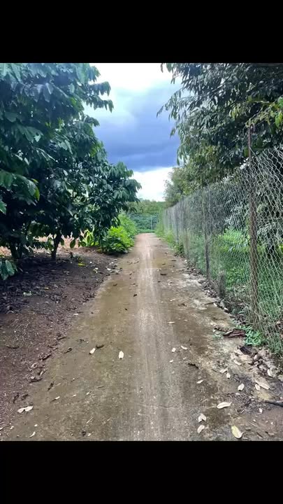 Đất nền Lộc An, Bảo Lâm 4118m² giá 2.49 tỷ - Pháp lý rõ ràng, đầu tư sinh lời!