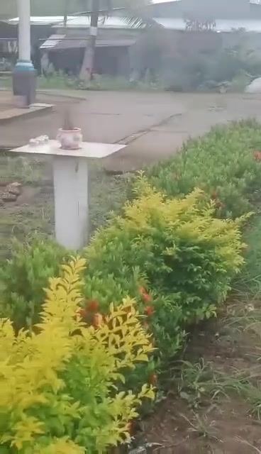 Đất nền Khánh Hưng Trần Văn Thời 500m² giá 500 triệu - Sổ đỏ chính chủ, thương lượng tốt!