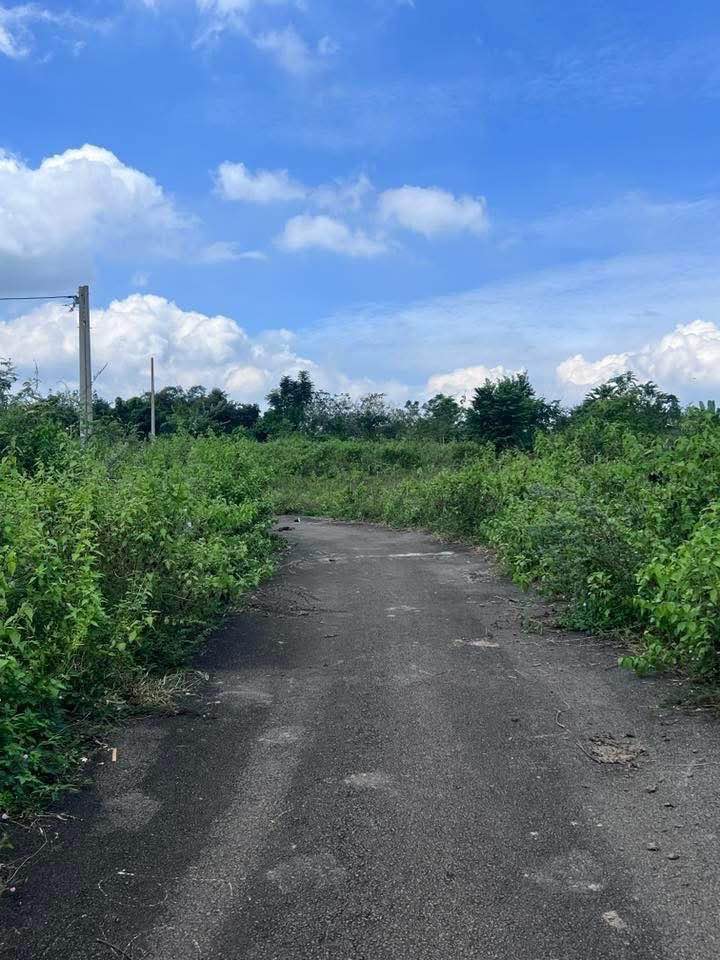 Đất Hưng Lộc, Thống Nhất 200m² giá 750 triệu - Sổ hồng chính chủ, 2 mặt tiền đường nhựa!