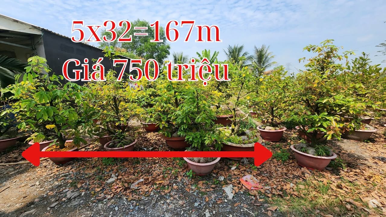 Đất nền Hòa Khánh Đông 160m² giá 750 triệu - Đầu tư sinh lời ngay!