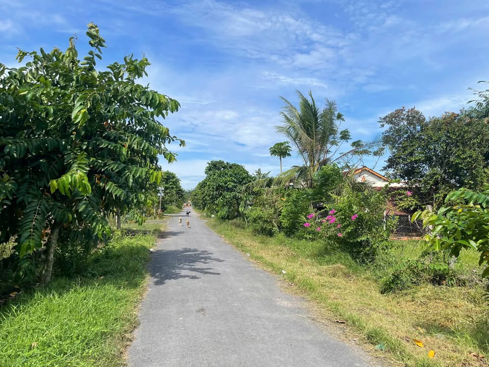 Đất KCN Trảng Bàng 480m² giá 4.8 tỷ - Đầu tư sinh lời ngay!