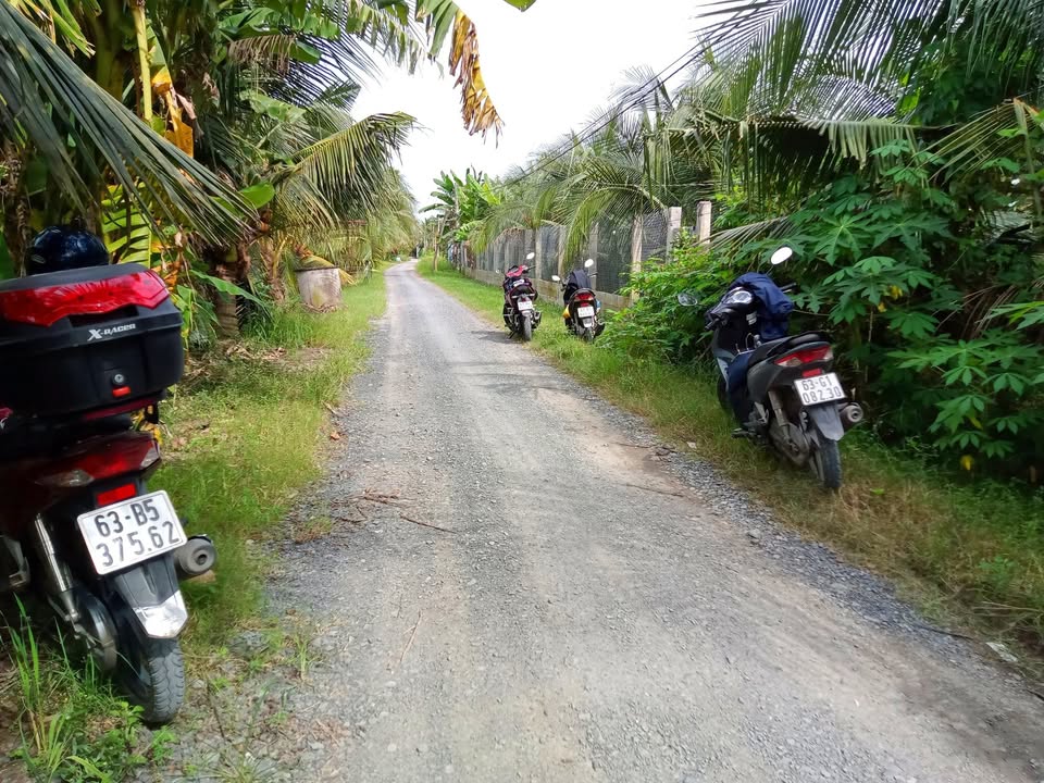 Đất nền 1000m² xã Thạnh Nhựt, Gò Công Tây giá 900 triệu - Đầu tư lý tưởng!