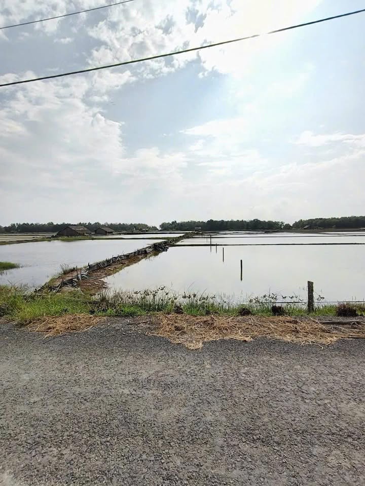 Đất nền mặt tiền Đê Tiền Giang, An Thới Đông, Cần Giờ 1185m² giá 2.4 tỷ - Đầu tư sinh lời ngay!