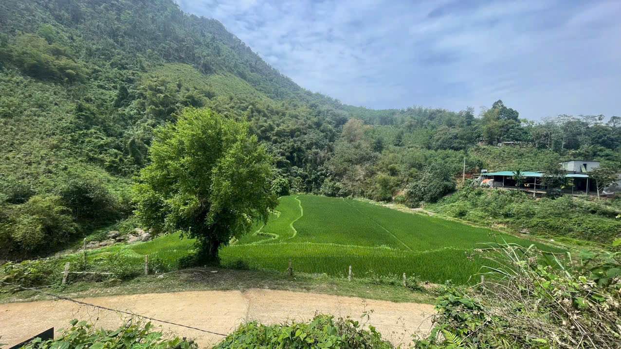 Đất nền xã Hợp Kim, Phú Thọ 1500m² giá 1 tỷ - Bám suối view cánh đồng thoáng đãng!