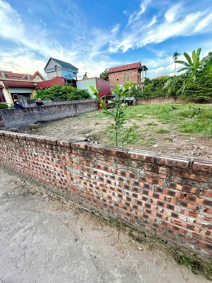 Đất nền Liên Mạc Thanh Hà 90m² giá chỉ 400 triệu - Đất vuông vắn, sổ hồng chính chủ!