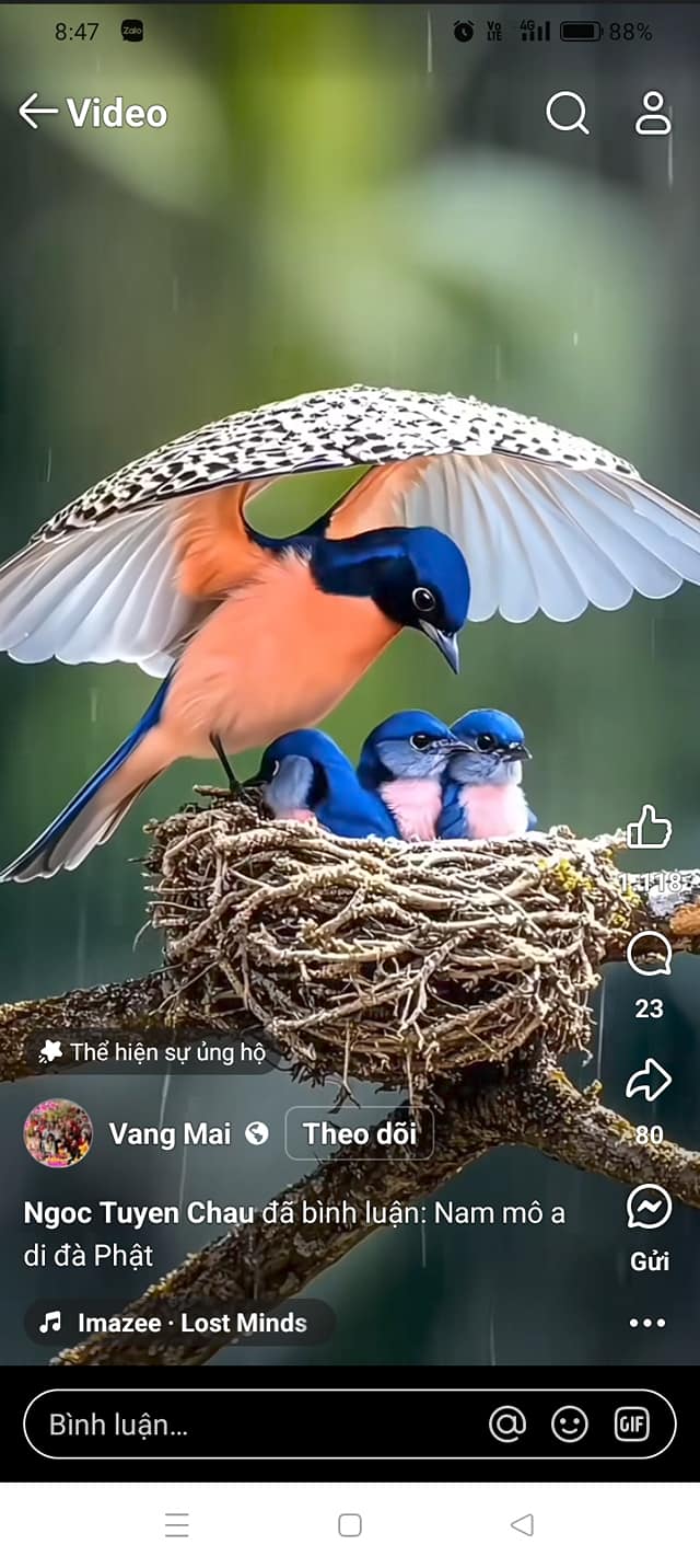 Nhà mặt tiền 2 Lý Tự Trọng, TP Hà Tĩnh, 306m² - Cơ hội đầu tư vàng!