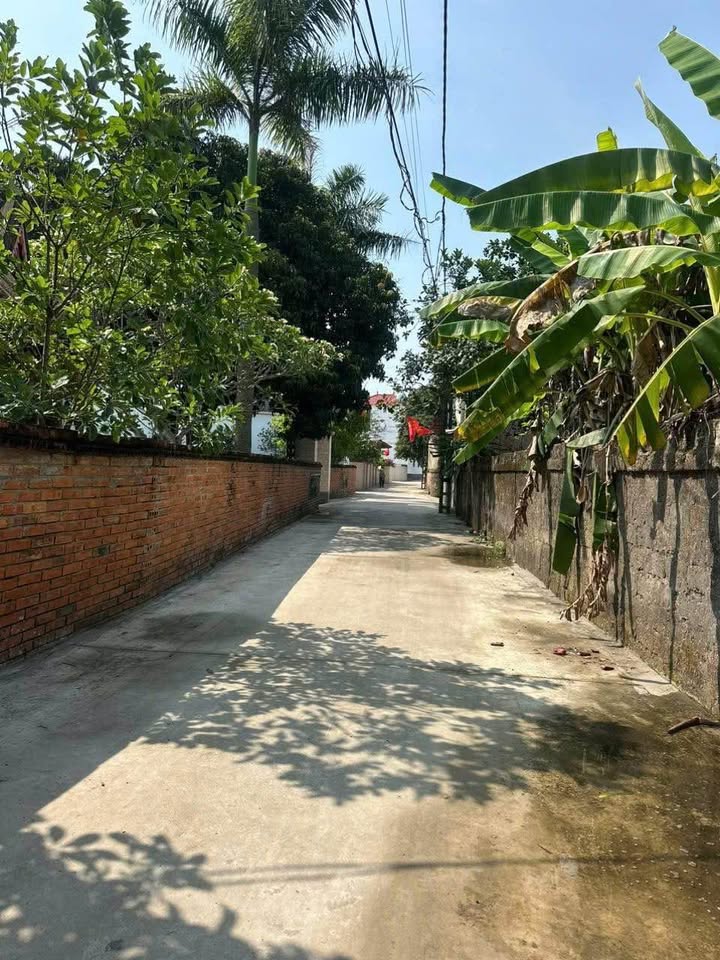 Đất nền Nghi Thịnh, Nghi Lộc 120m² giá 1.2 tỷ - Mặt tiền gần 7m, ô tô vào tận nơi!