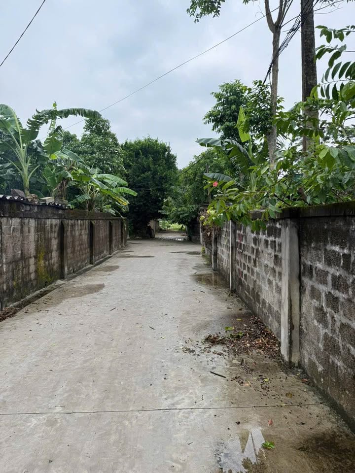 Đất Nghi Thịnh 113m² giá chỉ 800 triệu - Cơ hội đầu tư hiếm có!