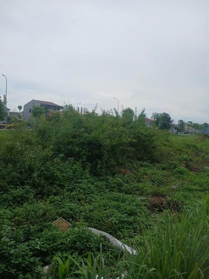 Đất nền tại Nghi Thu, Cửa Lò 147m² - Gần biển, đầu tư sinh lời!