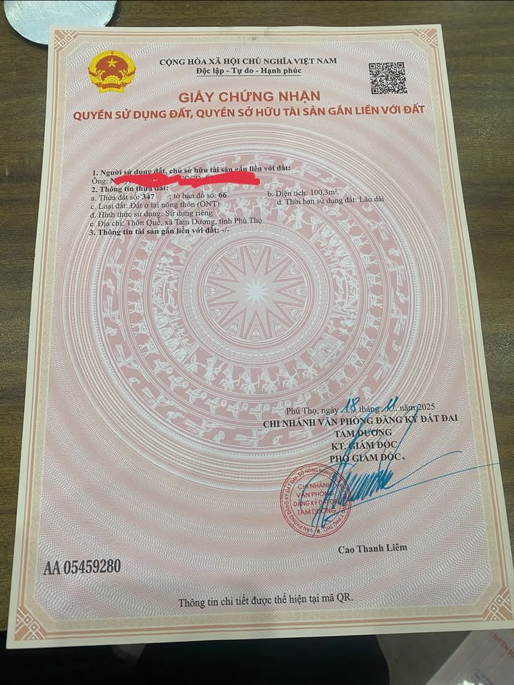 Đất nền thổ cư Hướng Đạo, Tam Dương 100m² giá 1.3 tỷ - Đầu tư sinh lời ngay!