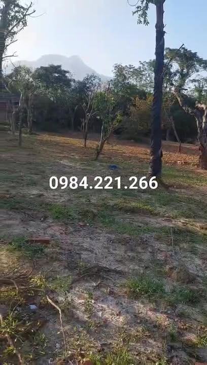 Đất nền Yên Bài Ba Vì 1170m² - Đầu tư tiềm năng gần Đại Học Quốc Gia!