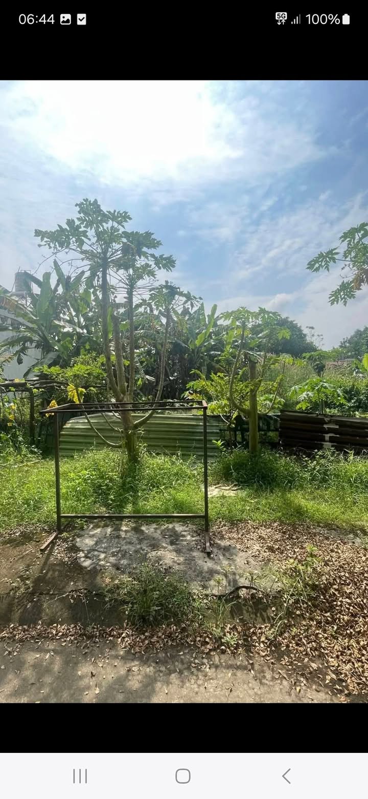 Đất nền Bến Cát 99m² giá 1.2 tỷ - Đường bê tông thuận tiện!