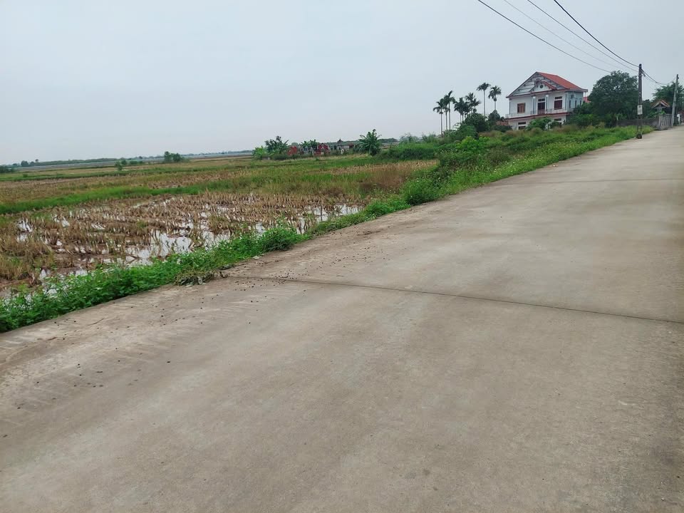 Đất nền Nguyễn Trãi, Ân Thi 200m² giá chỉ 100 triệu - Cơ hội đầu tư hấp dẫn!