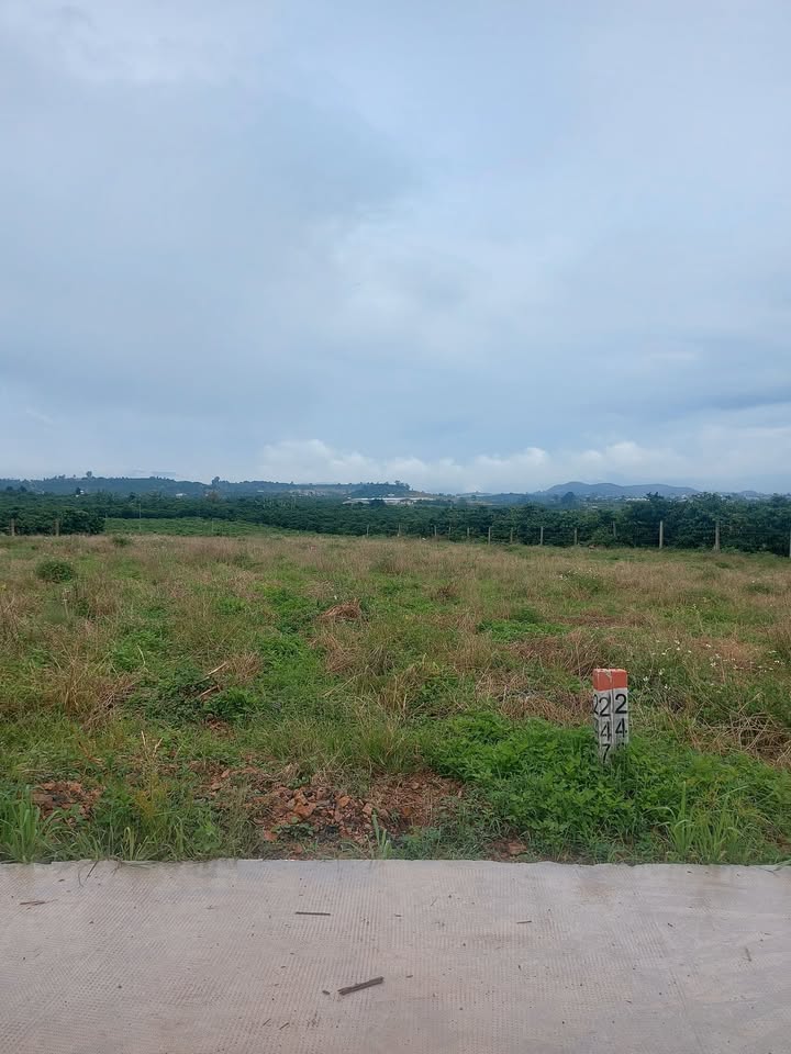 Đất nền Đinh Văn Lâm Hà 200m² giá 368 triệu - Cơ hội đầu tư tuyệt vời!