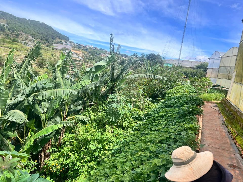 Đất nông nghiệp 3100m² tại Xuân Thọ, Đà Lạt chỉ 2.325 tỷ - Sổ đỏ riêng