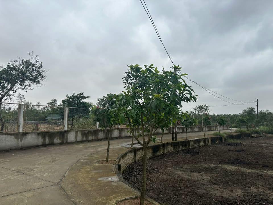 Đất Nghi Hương 500m² giá 6.7 tỷ - Đường ô tô tránh nhau, gần biển!