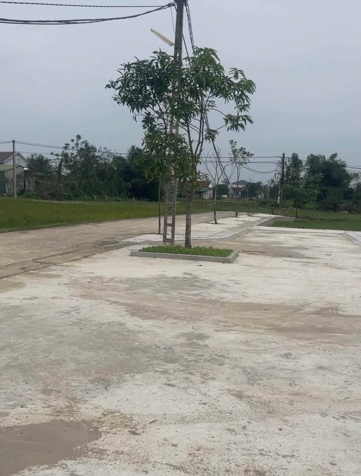 Đất nền Nghi Phong 118m² giá 2.1 tỷ - Mặt tiền rộng, ô tô tránh nhau!