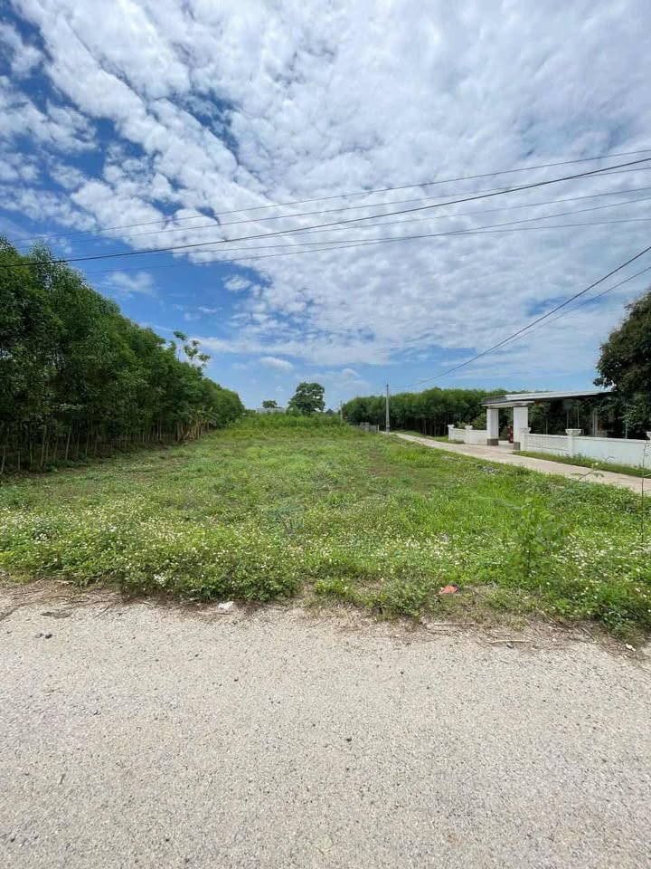 Đất nền Nghĩa Minh 2369m² giá tốt - Đầu tư sinh lời ngay lập tức!