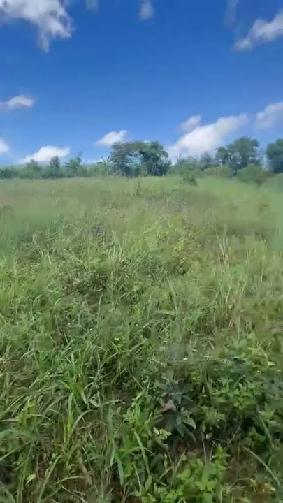 Đất vườn 8,3 sào tại Ea Knốp, Đắk Lắk giá 450 triệu - Cơ hội đầu tư tuyệt vời!