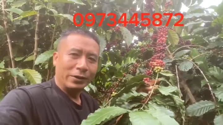 Đất nền Bảo Thuận Di Linh 28800m² - Đường bê tông 8 sào thuận lợi đầu tư!