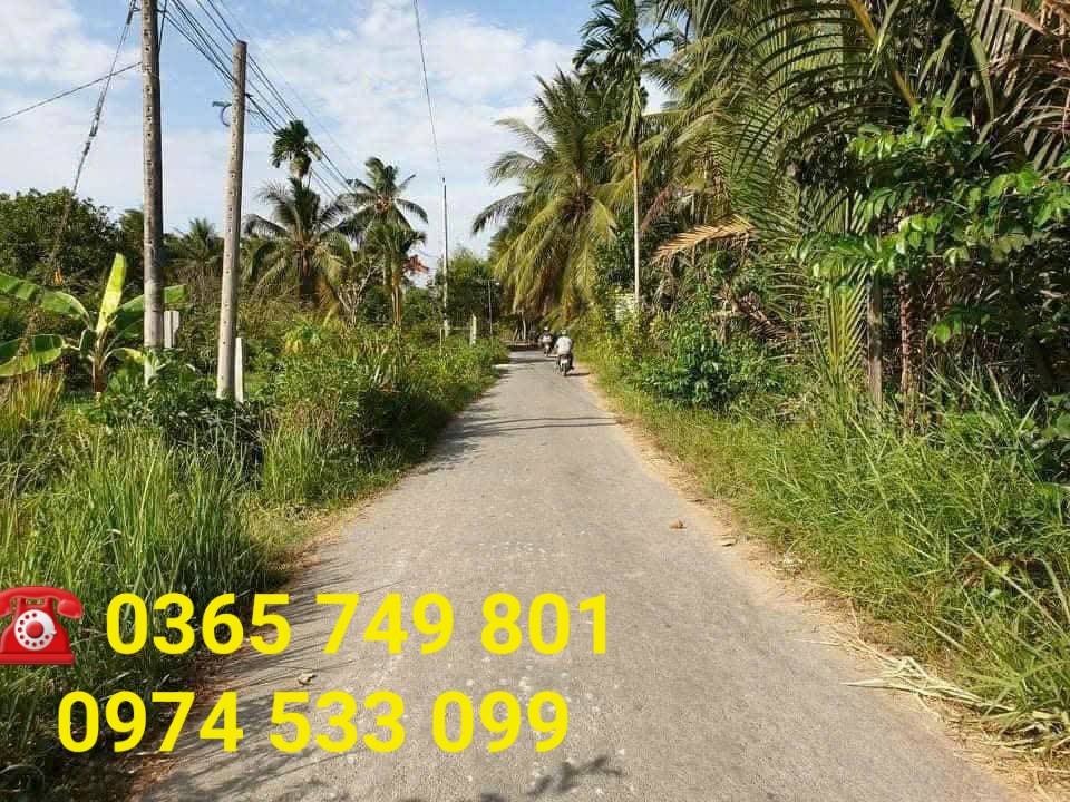 Đất nền xã Châu Hưng, Bình Đại, 540m² giá 1.2 tỷ - Cơ hội đầu tư sinh lời!