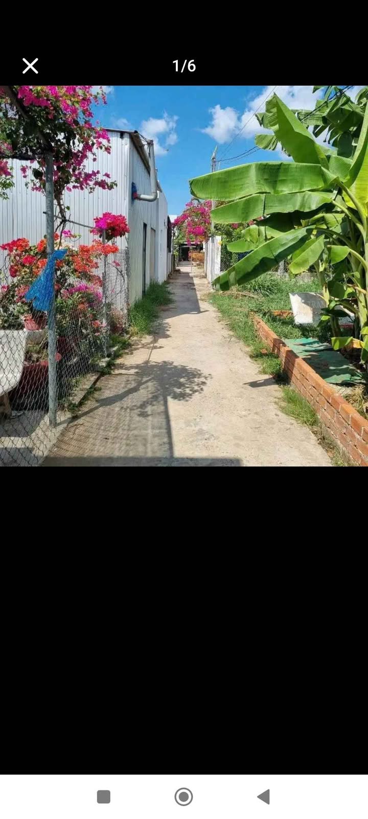 Đất nền Phú Khương, TP Bến Tre 122m² giá chỉ 470 triệu - Cơ hội đầu tư hấp dẫn!