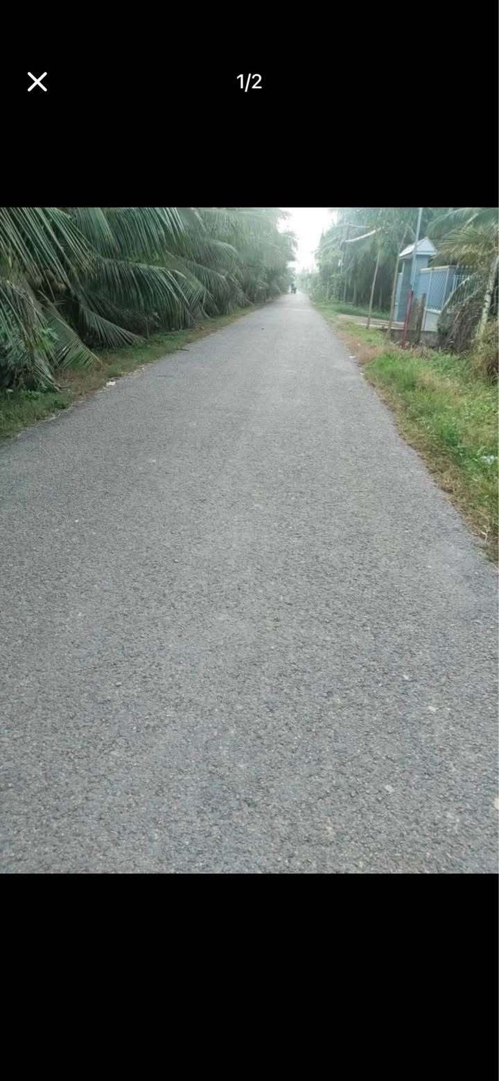 Đất mặt tiền đường Đê Tây, xã Thới Lai, 500m² giá 700 triệu - Cơ hội đầu tư hấp dẫn!