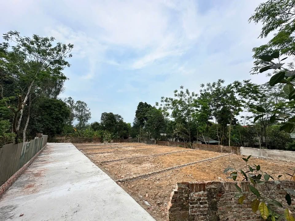 Đất thổ cư Kim Long 91m² giá chỉ 500 triệu - Đường ô tô vào tận nơi!