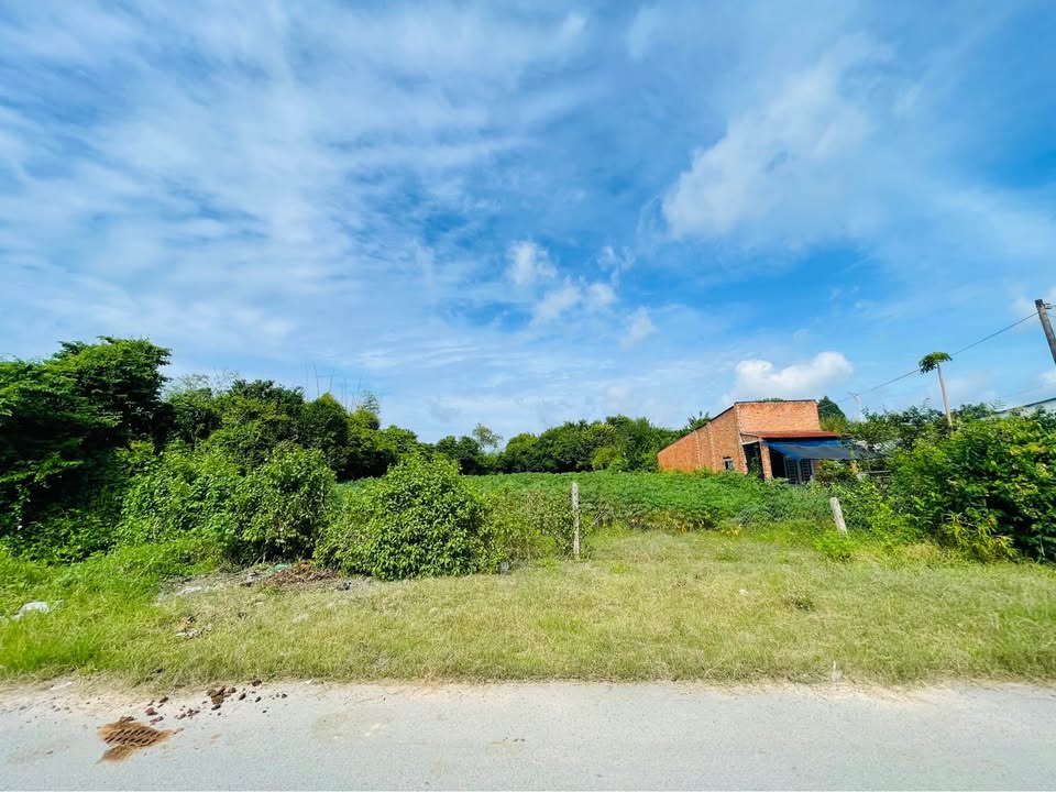 Bán đất mặt tiền đường Đoàn Minh Triết, xã Thái Mỹ, Củ Chi 1.623m² - Đầu tư sinh lợi hấp dẫn!