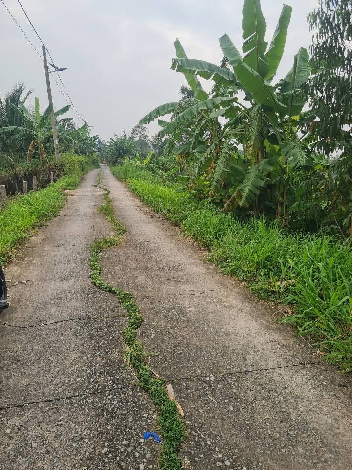 Đất vườn 1.000m² xã Tầm Vu, Châu Thành chỉ 1.9 tỷ - View tuyệt đẹp!