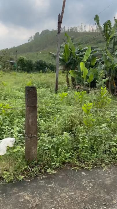 Đất ở Kỳ Trinh, Kỳ Anh 150m² - Giá thương lượng hấp dẫn