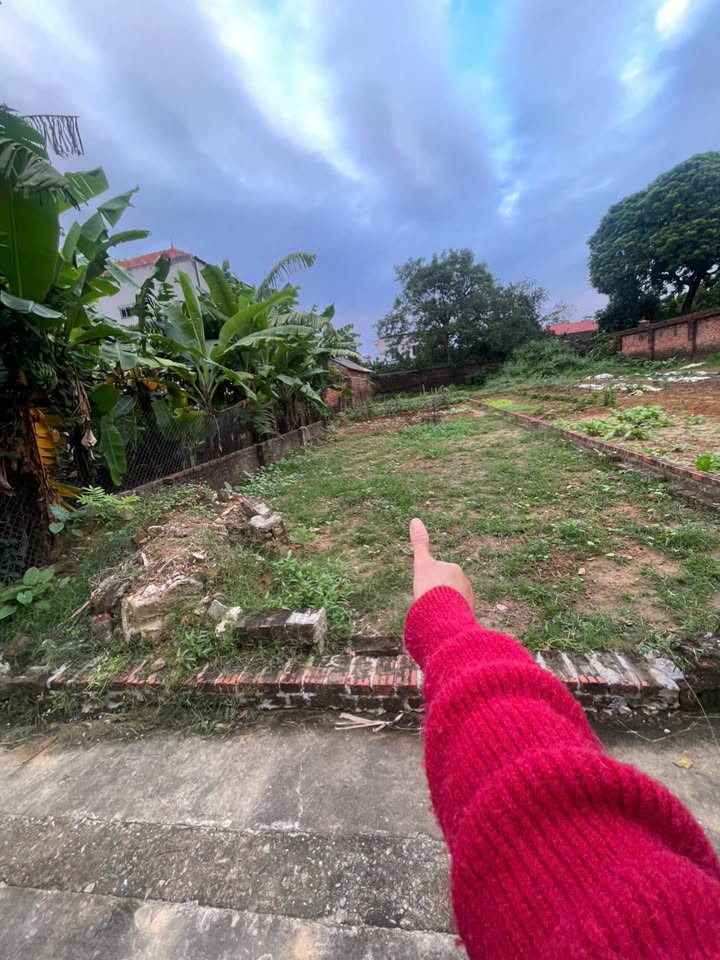 Đất nền Thôn Đan Tảo, Tân Minh, Sóc Sơn 94m² giá 2 tỷ - Sổ đỏ chính chủ!