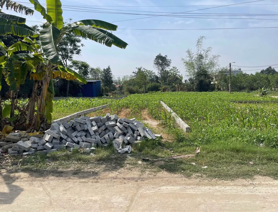 Đất nền Đồng Bẩm Thái Nguyên 80m² giá 1.65 tỷ - Đường rộng ô tô tránh nhau!